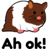 hámster 🐹 2 aish💕 26
