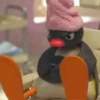 PINGU 12