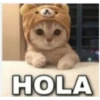 Memes1209 27