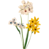 Pierre Joseph Redouté - 1759-1840 (Flowers) 22