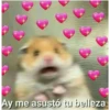 Memes1209 28