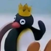 PINGU 14