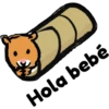 hámster 🐹 2 aish💕 29