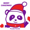 Purple Panda 17
