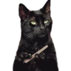 ANIMALITOS2 6