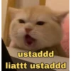 Meme Lucu Gemoy 9