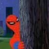 SPIDERMAN MEMARDOS (NO TEXT) I 7