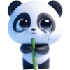 Panda 6
