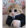 ANIMALITOS2 9