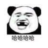 Chinese Panda 12