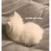 Meme Lucu Gemoy 12