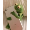 GUSTAVO 11