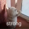 Meme Lucu Gemoy 14