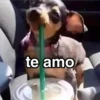 Amorcito BB 💜 te amo 13🇲🇽 20