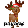 🌻🪅 Navidad única 🍾🎄 23