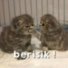 Meme Lucu Gemoy 20