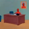 SPIDERMAN MEMARDOS (NO TEXT) I 24