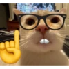 kucing lovers 19