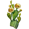 Flore d'Amérique - Etienne Denisse 1843 (flowers) 9