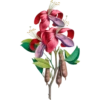 Flore d'Amérique - Etienne Denisse 1843 (flowers) 11