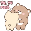 Bear couple 26