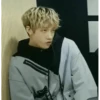 Stray Kids №12 24