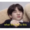 stray kids and scary kids 27