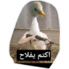 New 176 26