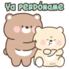 Bear couple 30