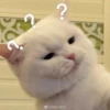 Meme Lucu Gemoy 26