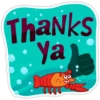Thank you 26
