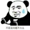 Chinese Panda 28