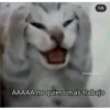 ANIMALITOS2 29