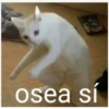 LLORARIOS 10