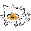 Zyrha 5