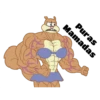 Arenita 8