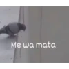 SUICIDACION 6
