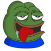 Ranita 14