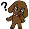 Miss muddy puppy 🫧❄🌲 10