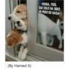 LLORARIOS 12