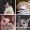 SUICIDACION 12