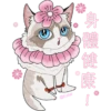 Estar_2024貓店長新年篇 4