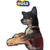 Cuco el chihuahua 13