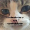 SUICIDACION 25
