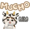 kittycorn 🌈😺cute🤎 30