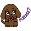 Miss muddy puppy 🫧❄🌲 22