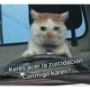 SUICIDACION 30