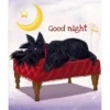 Good night
