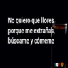 No quiero que llores
porque me extrañas,
búscame y cómeme
7