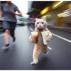 Gatito selfie viajero֍1🇲🇽Clásica 4
